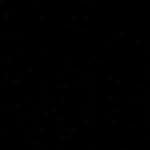 Meet your Posher, Wilmarie